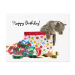 Happy Birthday kitten postcards