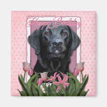 Happy Birthday - Labrador - Black - Gauge Magnet