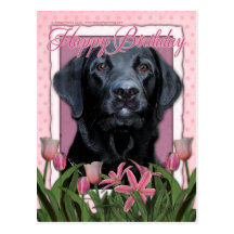 Happy Birthday - Labrador - Black - Gauge Post Card