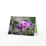 Happy Birthday Lavender Rose Card