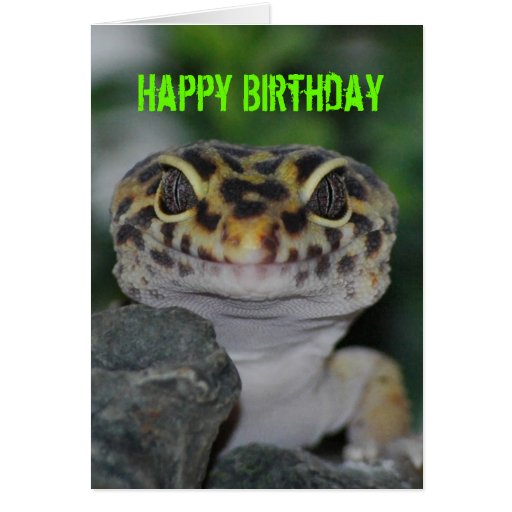 Happy Birthday Leopard Gecko Greeting Card | Zazzle