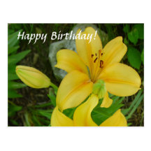Happy Birthday Lily Post Cards