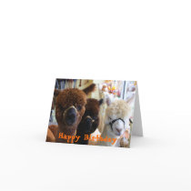 Happy Birthday Llama Card