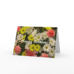Happy Birthday! Margueruite Daisies Greeting Card
