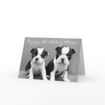 Happy Birthday Mum Boston Terrier Puppies card