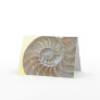 Happy Birthday Nautilus Shell