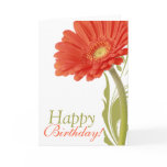 Happy Birthday | Orange Gerbera Daisy Greeting Cards