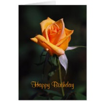 Happy Birthday Orange Rose Card