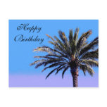 Happy Birthday palm tree