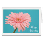 Happy Birthday Pink Gerbera Daisy Greeting Card