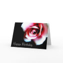 Happy Birthday Pink Rose Greeting Card