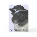 Happy Birthday Pirate Dog cards