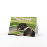 Happy Birthday Pitbull greeting card