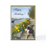 Happy Birthday Pitbull greeting card