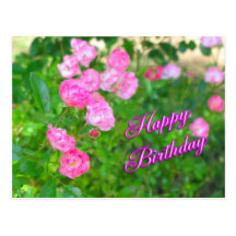 happy birthday post cards