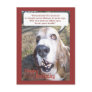 Happy Birthday Postcard
