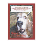 Happy Birthday Postcard