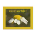 Happy birthday postcards
