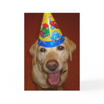 Happy Birthday Prima- Blank Inside Cards