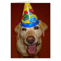 Happy Birthday Prima- Blank Inside Cards