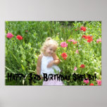 happy birthday princess posters