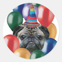 Happy birthday Pug dog Stickers