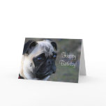 Happy Birthday pug greeting card