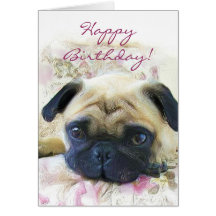 Happy Birthday Pug greeting card