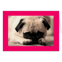 Happy Birthday Pug Puppy Dog Pink  Greeting Card