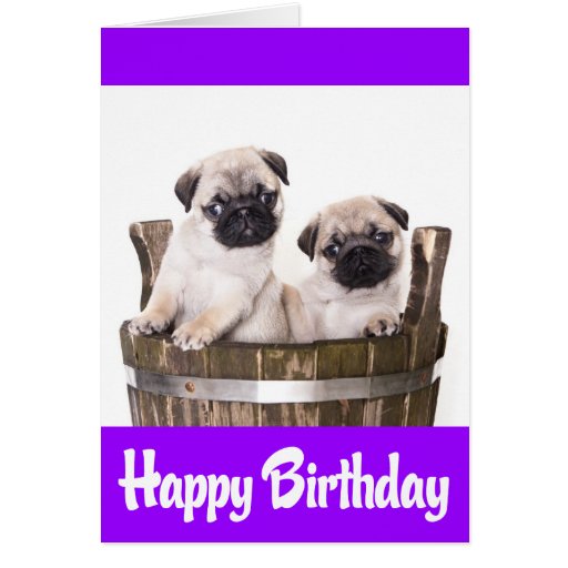 happy birthday pug meme happy puppy meme memes happy birthday pug meme happy puppy meme memes