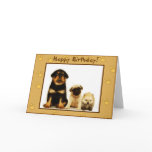 Happy Birthday puppies greeting card