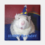Happy Birthday Rat Magnet