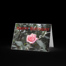 Happy Birthday Rose Photo Card