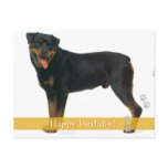 Happy Birthday! - Rottweiler dog postcard