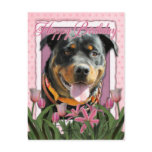 Happy Birthday - Rottweiler - SambaParTi Post Card