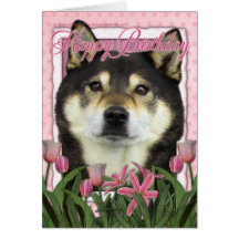 Happy Birthday - Shiba Inus - Yasha Cards