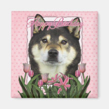 Happy Birthday - Shiba Inus - Yasha Magnets