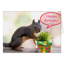 Happy Birthday Squirrel Cards