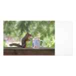 Happy Birthday Squirrel photo cards