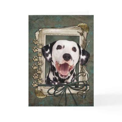 Happy Birthday - Stone Paws - Dalmatian Card