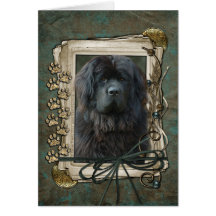 Happy Birthday - Stone Paws - Newfoundland Greeting Cards