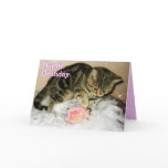Happy Birthday - Tabby Kitten Birthday card