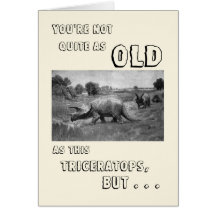 Happy Birthday to a Dinosaur Cards