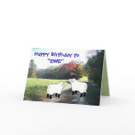 Happy Birthday to "EWE"-customise any occasion cards