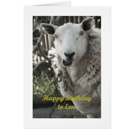 Happy Birthday To Ewe Greeting Card Zazzle