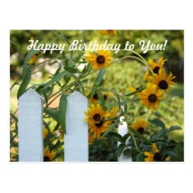 Happy Birthday to You! Postcard
