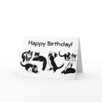 Happy Birthday Tuxedo Cats Card