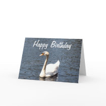 Happy Birthday white swan