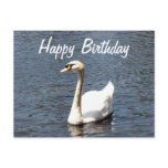 Happy Birthday white swan