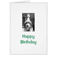 Happy Birthday with dog Card